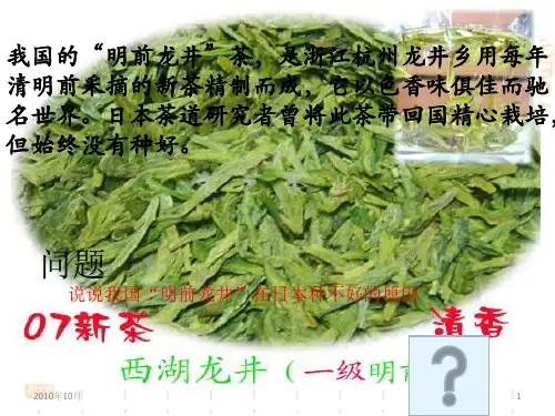 农业生产与地理环境.pptx
