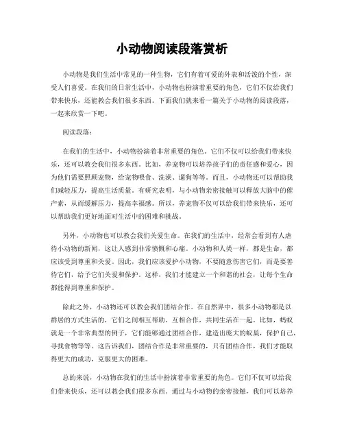 小动物阅读段落赏析