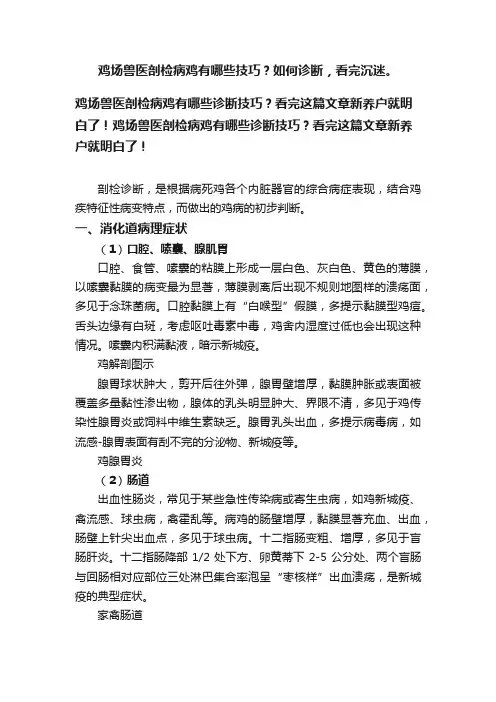 鸡场兽医剖检病鸡有哪些技巧？如何诊断，看完沉迷。