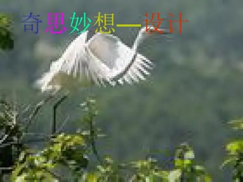 六年级科学上册3.1《奇思妙想__设计篇》 优秀课件3大象版