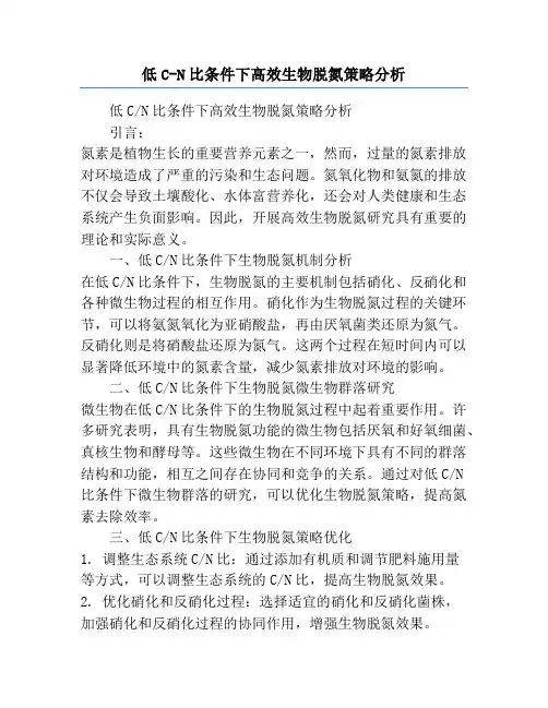 低C-N比条件下高效生物脱氮策略分析