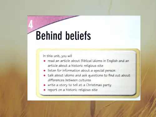 江苏省南京市金陵中学高二英语新选修九课件：Unit 4 Behind beliefs 含解析 精品