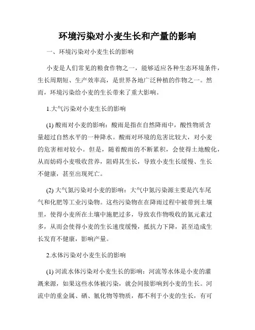 环境污染对小麦生长和产量的影响