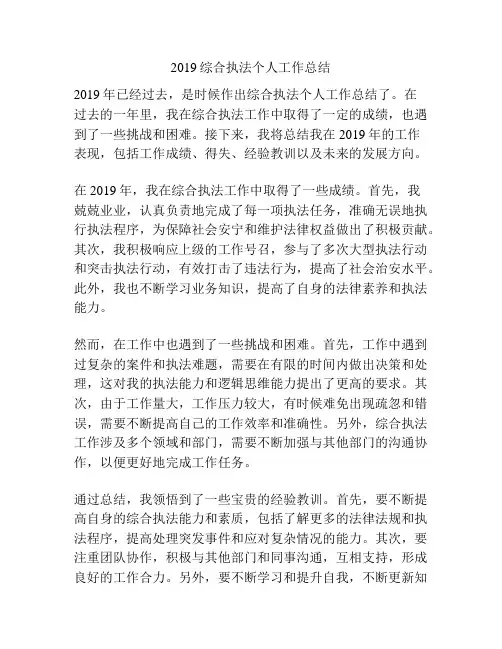 2019综合执法个人工作总结