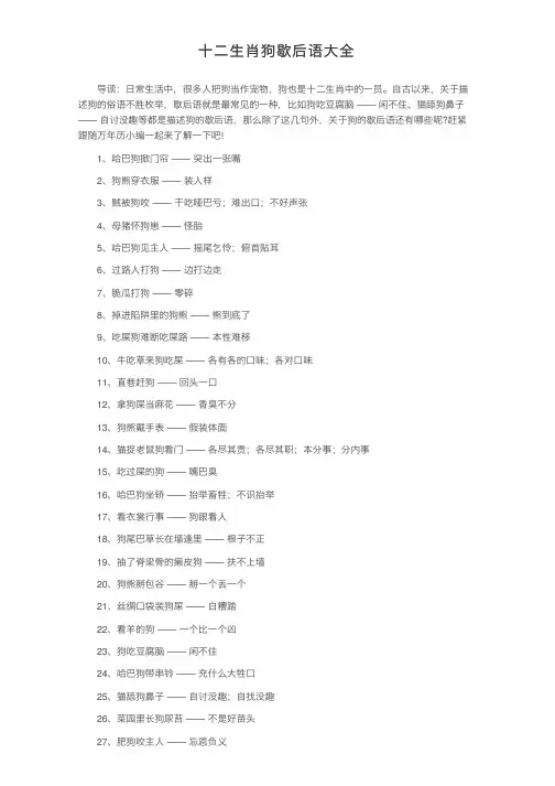 十二生肖狗歇后语大全