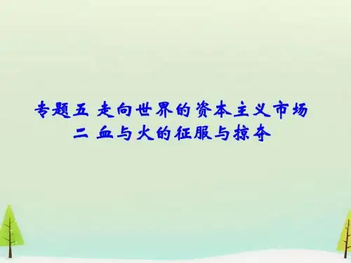 血与火的征服与掠夺PPT课件24 人民版