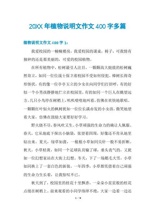 20XX年植物说明文作文400字多篇