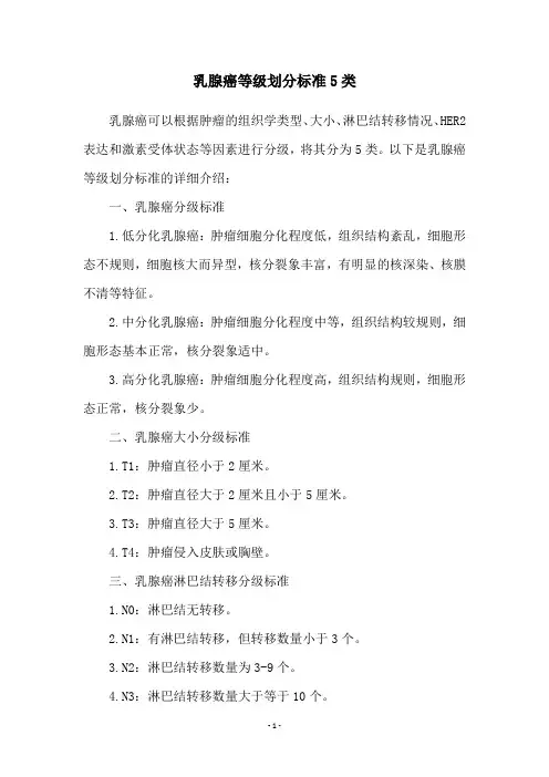 乳腺癌等级划分标准5类