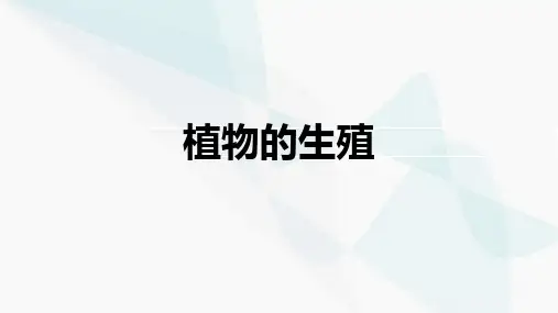 植物的生殖课件(共24张PPT)八年级下册生物学人教版
