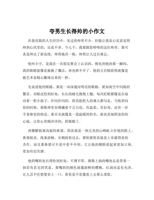 夸男生长得帅的小作文