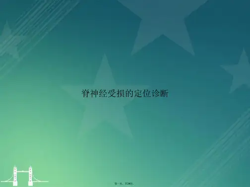 脊神经受损的定位诊断2讲课文档
