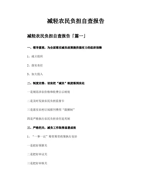 减轻农民负担自查报告