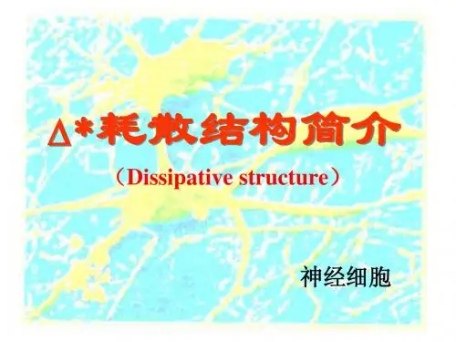 耗散结构