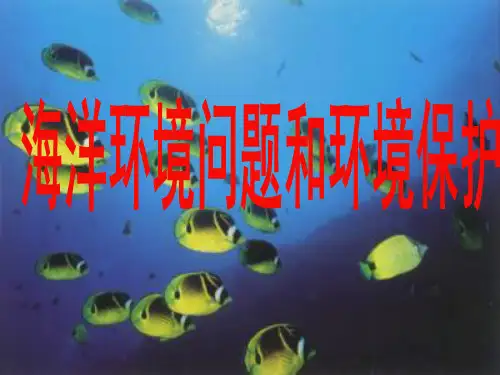 人教版高二地理选修 海洋环境问题与环境保护PPT优秀课件