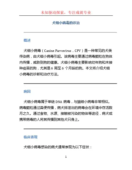 犬细小病毒的诊治论文 (2)