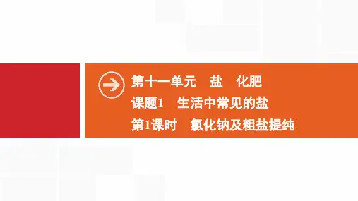 2020春人教版初中化学复习九年级下册必刷题第11单元 课题1 第1课时 氯化钠及粗盐提纯