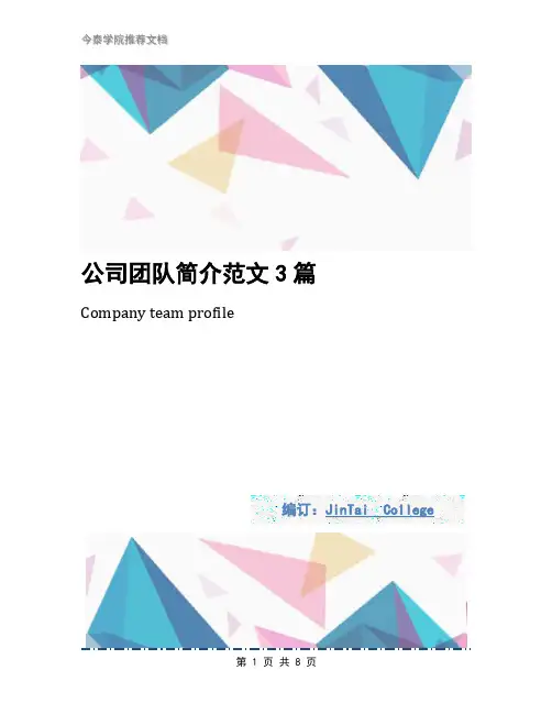 公司团队简介范文3篇