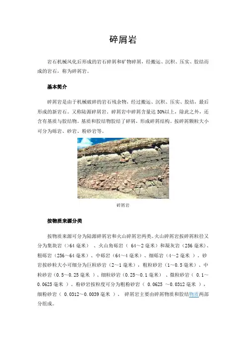 碎屑岩