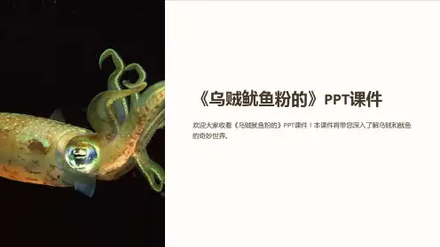 《乌贼鱿鱼粉的》课件