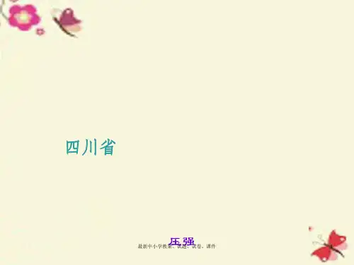 中考物理 考点聚焦 专题九 压强课件