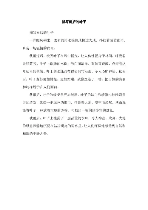 描写雨后的叶子