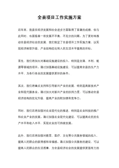 全县项目工作实施方案
