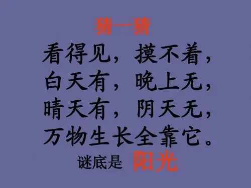《棉鞋里的阳光》ppt
