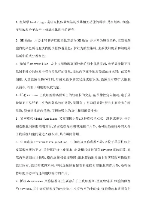 组织学与胚胎学的名词解释及相应的英文