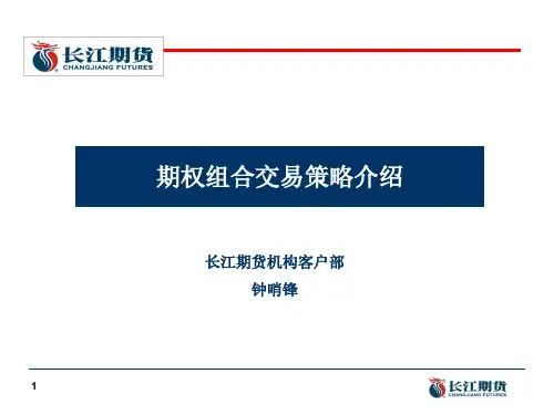 期权组合投资策略