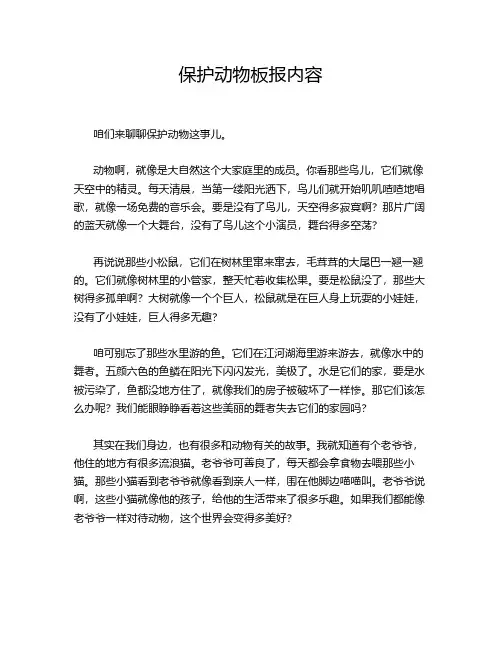 保护动物板报内容