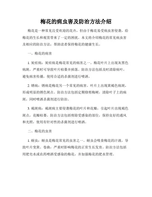 梅花的病虫害及防治方法介绍