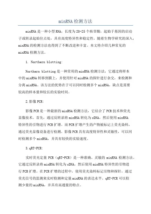 minRNA检测方法