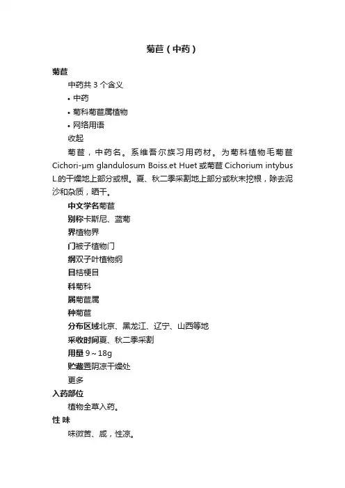 菊苣（中药）