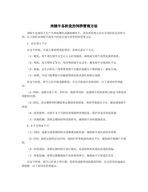 肉犊牛各阶段的饲养管理方法