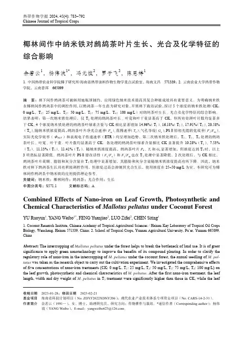 椰林间作中纳米铁对鹧鸪茶叶片生长、光合及化学特征的综合影响