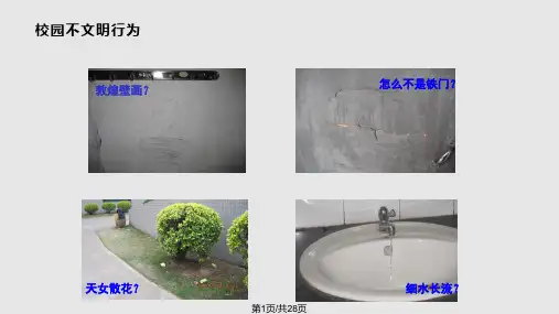在实践中提高人生发展能力PPT课件