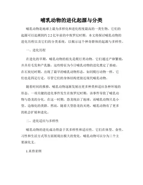 哺乳动物的进化起源与分类