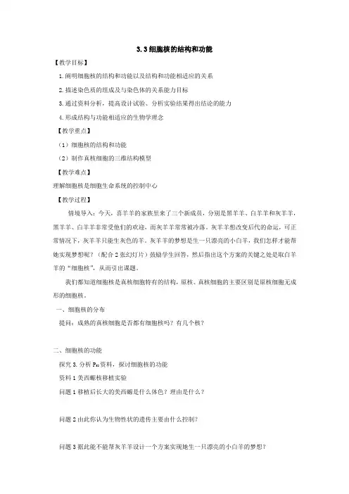 3.3 细胞核的结构和功能 教案 