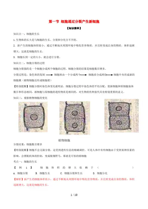 七年级生物上册第二章细胞怎样构成生物体(含解析)新人教版
