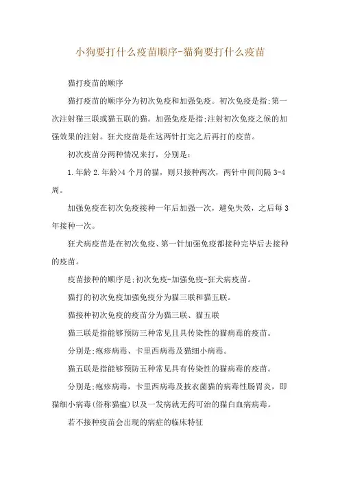 小狗要打什么疫苗顺序-猫狗要打什么疫苗