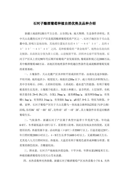 石河子酿酒葡萄自然优势及品种介绍