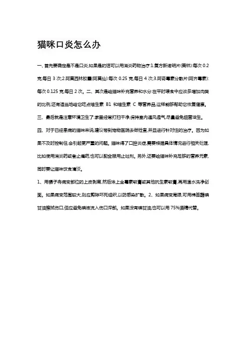 猫咪口炎怎么办