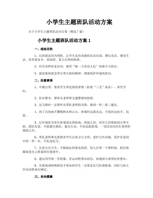 小学生主题班队活动方案
