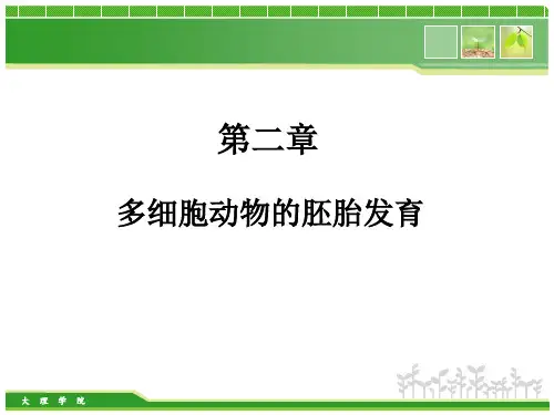 (完整)动物生物学多细胞动物胚胎发育精品PPT资料精品PPT资料