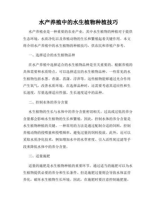 水产养殖中的水生植物种植技巧