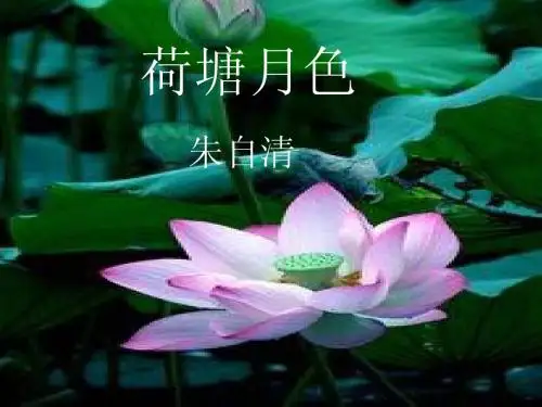 人教版高一语文 《荷塘月色》 PPT课件
