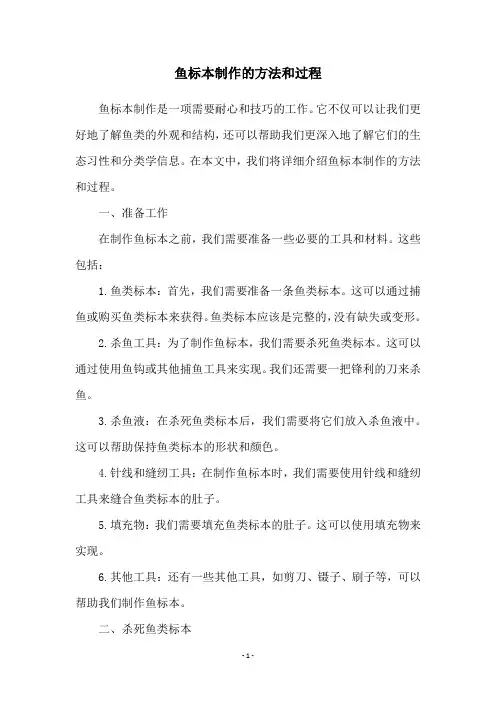 鱼标本制作的方法和过程