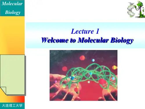 分子生物学英文课件：lecture1 Welcome to Molecular Biology(1)