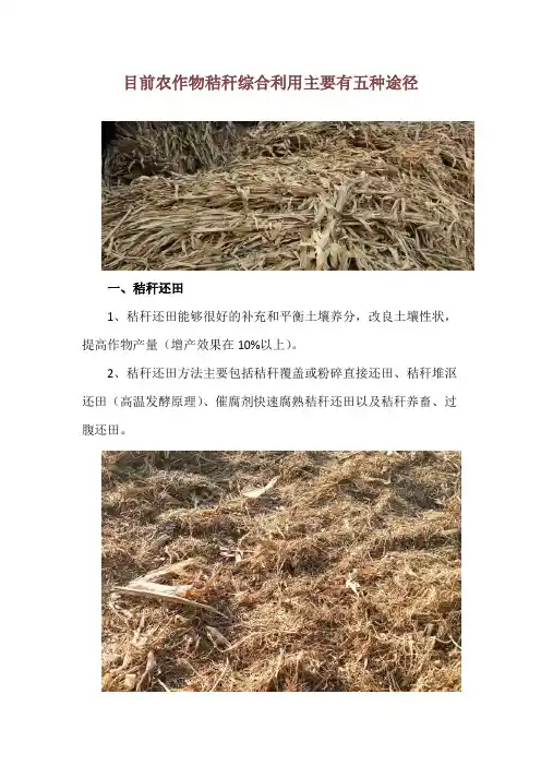 目前农作物秸秆综合利用主要有五种途径