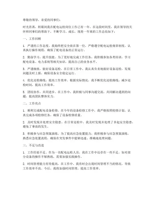配电运检个人工作总结
